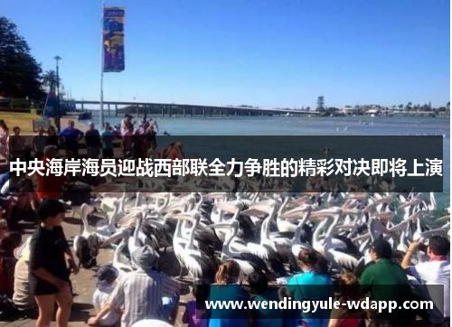 中央海岸海员迎战西部联全力争胜的精彩对决即将上演
